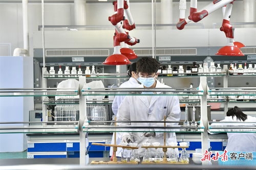 千年藥鄉 中醫藥產業正興旺