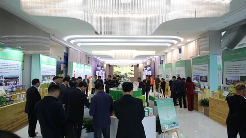 2023黃山貢菊 歙縣 產業(yè)發(fā)展大會召開
