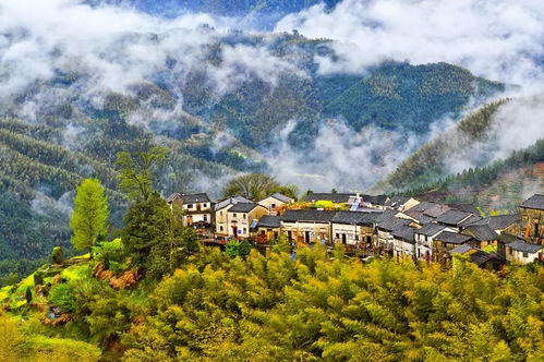 只知黃山 塔川 這才是安徽最驚艷的世外桃源,90 的人都去錯了地方
