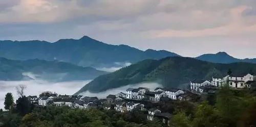 青山枕木梨,一幅看不倦的徽州水墨畫(huà)卷