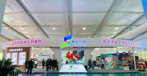 現場 2020年服貿會,順義50余家企業精彩亮相