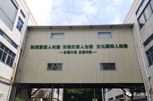 華美食品候選市第二批優秀 友善企業 ,一起為它投票吧