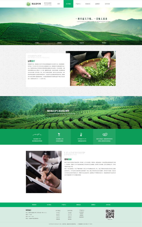 精品茶葉企業網站,前端初學者
