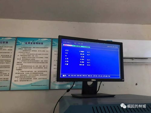 四個(gè)平臺,林城鎮(zhèn)在行動 二百一十六