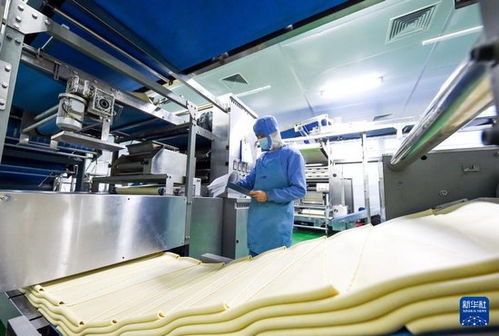 河北邱縣 食品企業生產忙