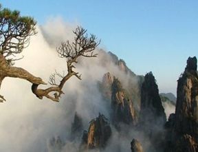 華潤金融